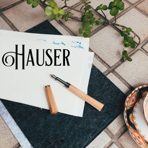 德國 Hauser 經典 原木 鋼筆（白楓木）